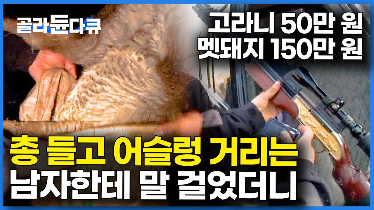 몰래 사냥하고 있길래 뭐 잡으세요? 했더니.. 깜짝 놀라 총 떨어뜨리는 남자│밀렵 사냥꾼 검거│고라니 멧돼지 사냥에 중독된 사람들│극한직업│#골라듄다큐