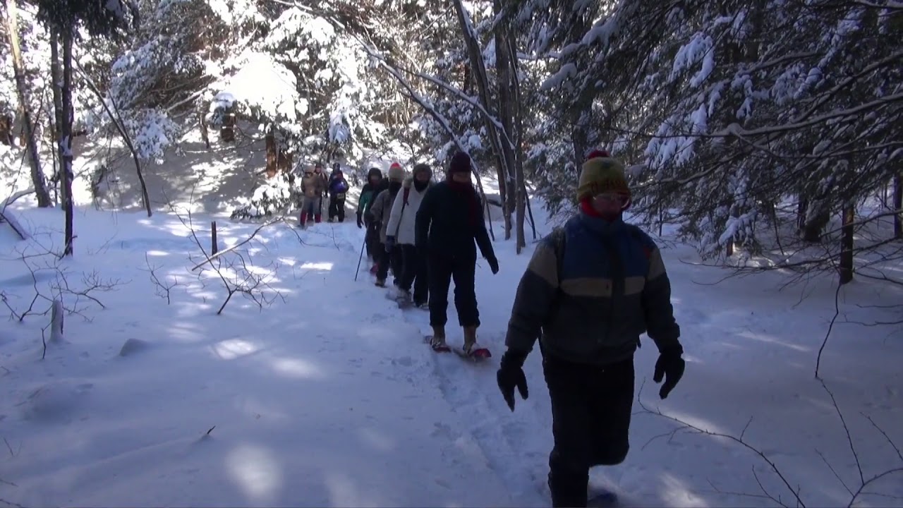 Introduction to the Rensselaer Plateau Alliance Community Forest HD 1080p