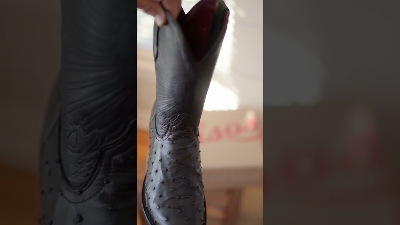 Chisos No. 1 Ostrich in Magic Black