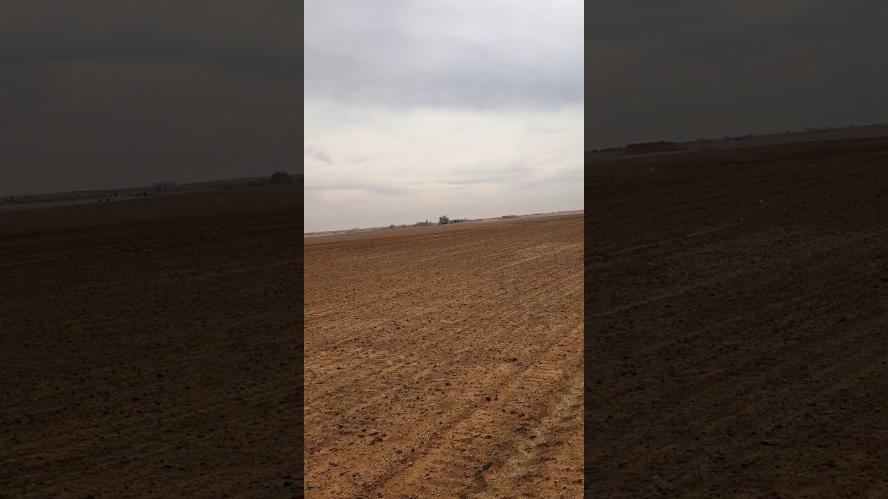 برنامج تسميد البرسيم فى السعودية
