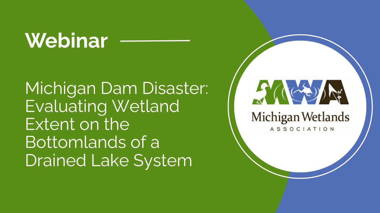 Michigan Dam Disaster: Evaluating Wetland Extent on the Bottomlands of a Drained Lake System