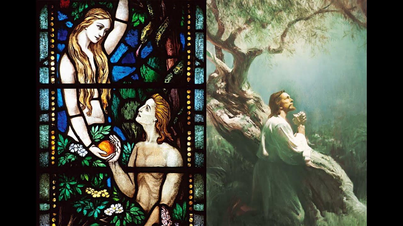 Adam and Christ: Contrast, Comparison, and Significance (Ian Hamilton on Romans 5:12-21)