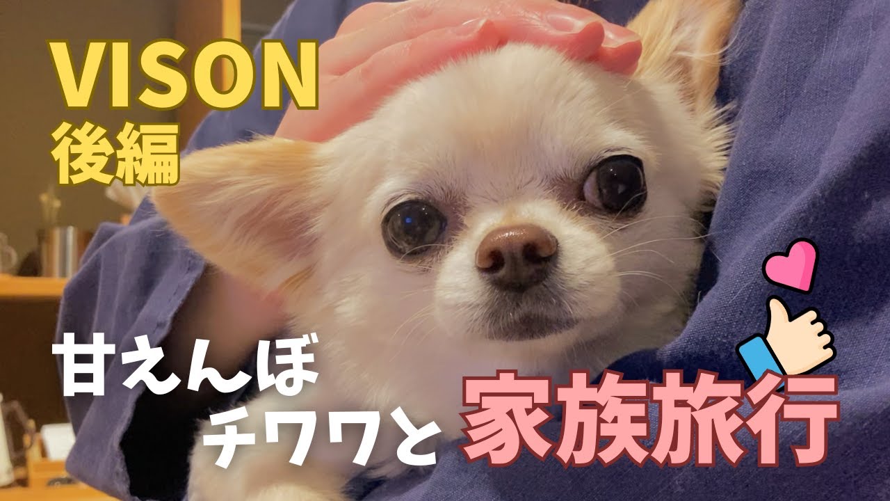 愛犬と涼しいカフェ、美味しいドリンク…三重のVISONへ行ったら絶対また行きたくなる所だった【DAY2】