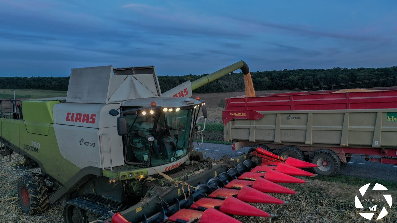 ETA Cyrille Potard | Corn Harvest | Moisson de maïs | Claas Lexion 750 TT | Capello Diamant
