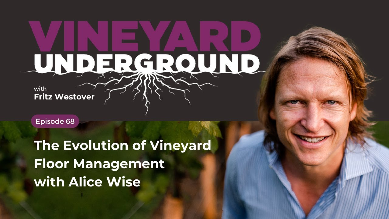 Ep68: The Evolution of Vineyard Floor Management with Alice Wise #viticulture #wine #farming