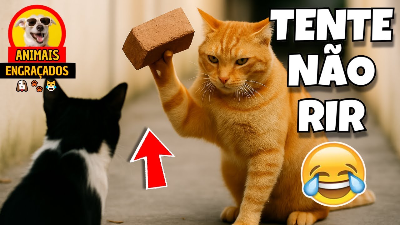 🔴 TENTE NÃO RIR  🔴 VIDEOS ENGRAÇADOS DE ANIMAIS PETS GATOS E CACHORROS MEMES DE CÃES GATO CACHORRO