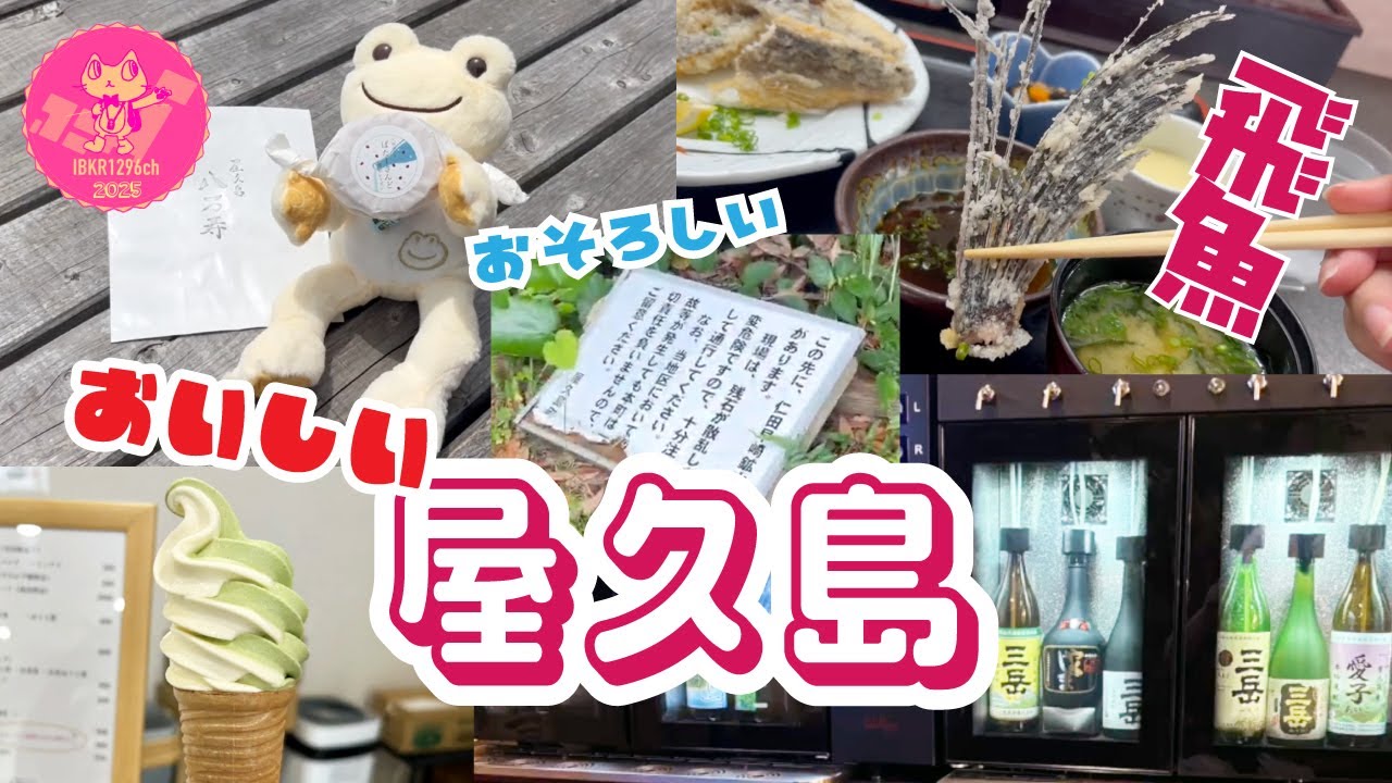 屋久島 食べまくり 飲みまくり 八万寿茶園 茶畑展望台 ぷかり堂 長峰神社 天然温泉 縄文の宿まんてんまんてん / 遭難しそうで途中で諦めた 仁田鉱山跡（クリスタル岬）