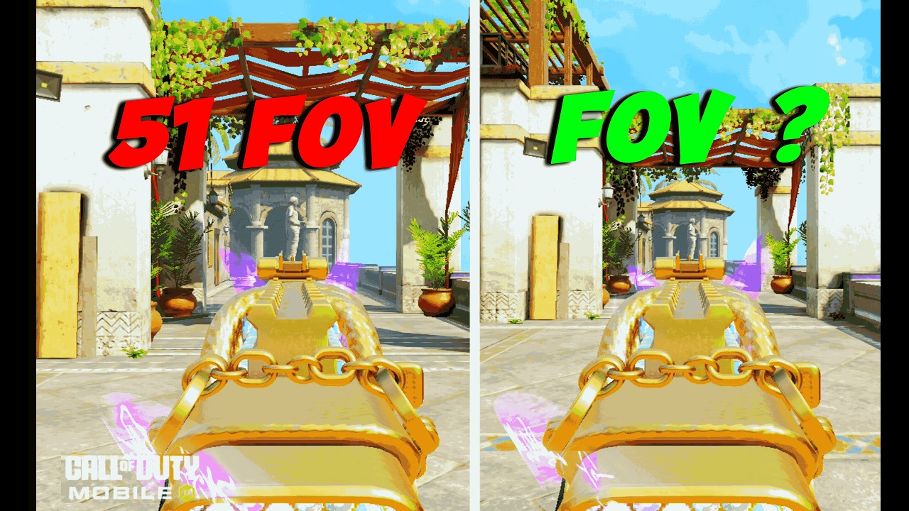 You Probably Need to Change your FOV