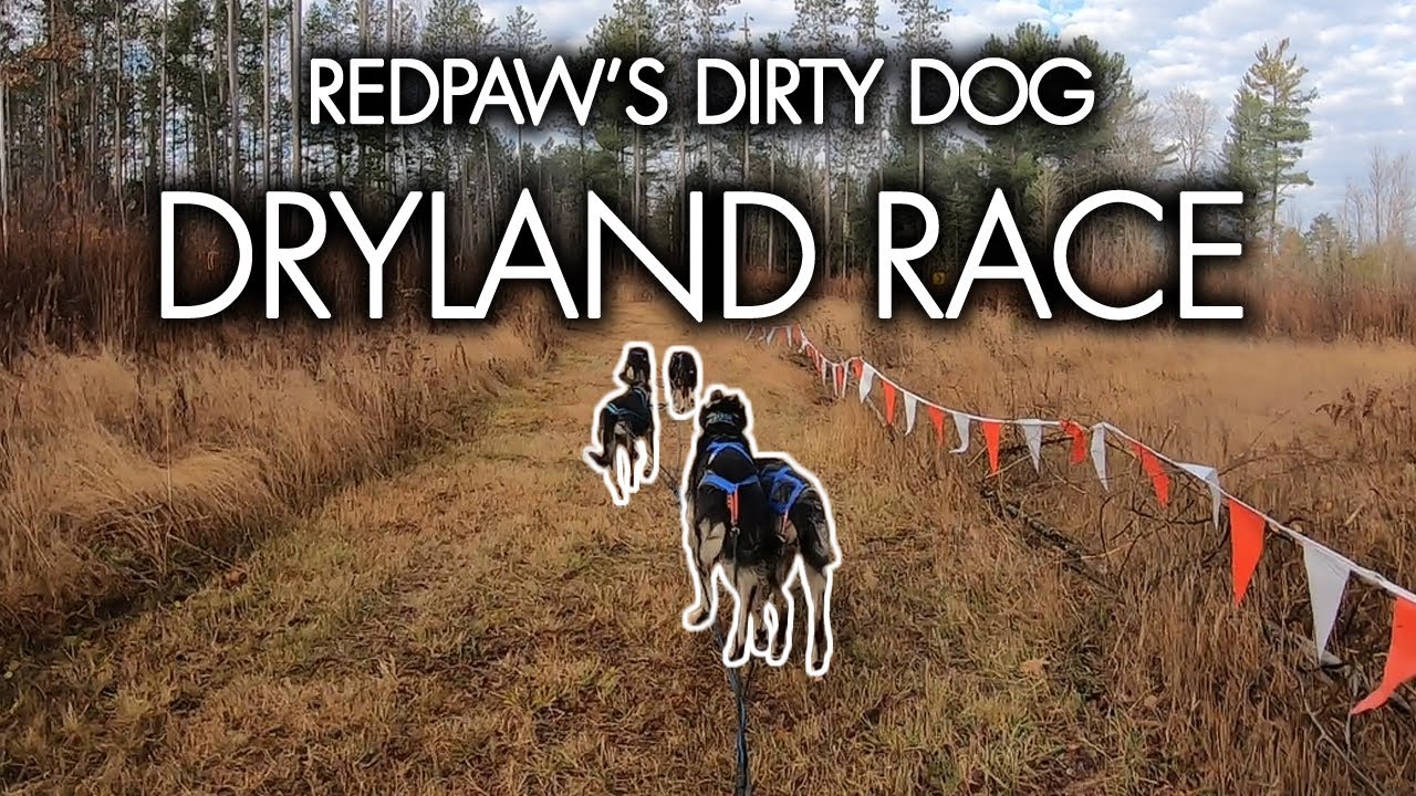 Redpaw's Dirty Dog Dryland 2025