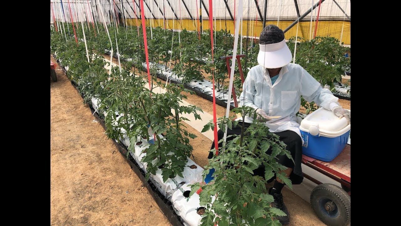 AGRITECH ISRAEL No1
