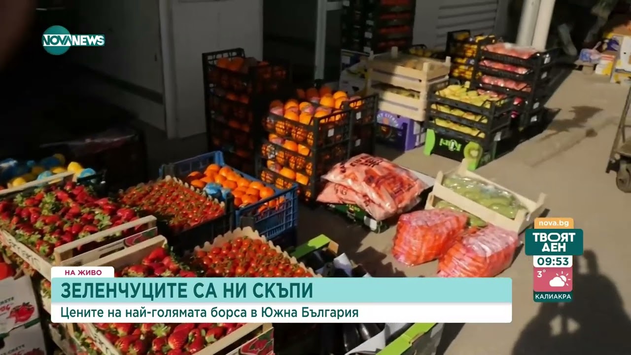 Шефът на най-голямата зеленчукова борса: До месец ще имаме нормални цени и повече продукция