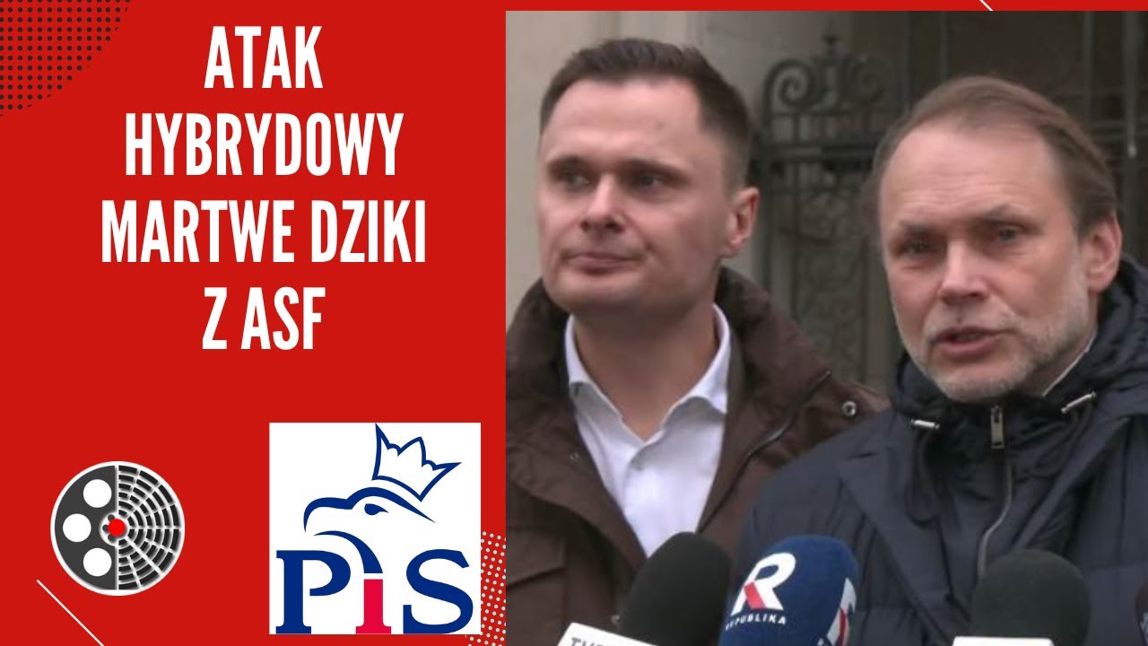 [PiS]: ATAK HYBRYDOWY. Martwe dziki w ASF.