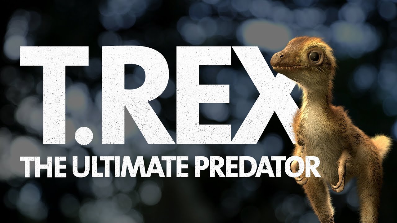 What Did a Baby T. rex Look Like? 🦖 🦖 🦖 🦖