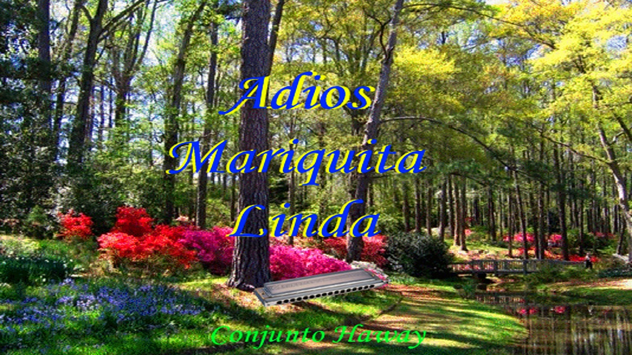 Adios Mariquita Linda   Interpreta   Conjunto Haway   Harmonicas