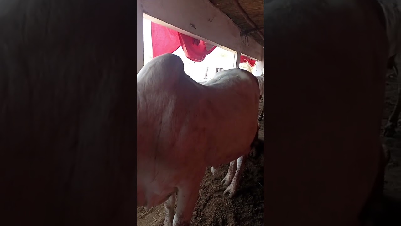 Farming life update 