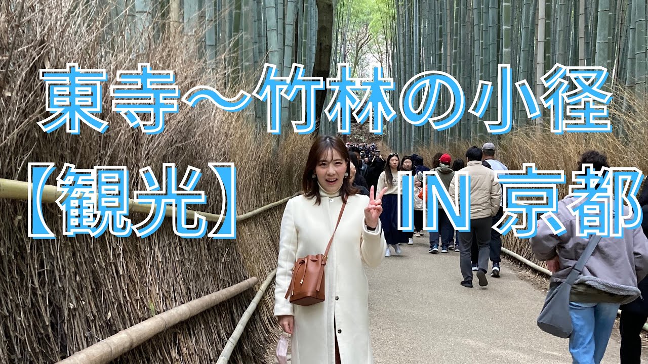東寺〜竹林の小径　【観光】　IN 京都