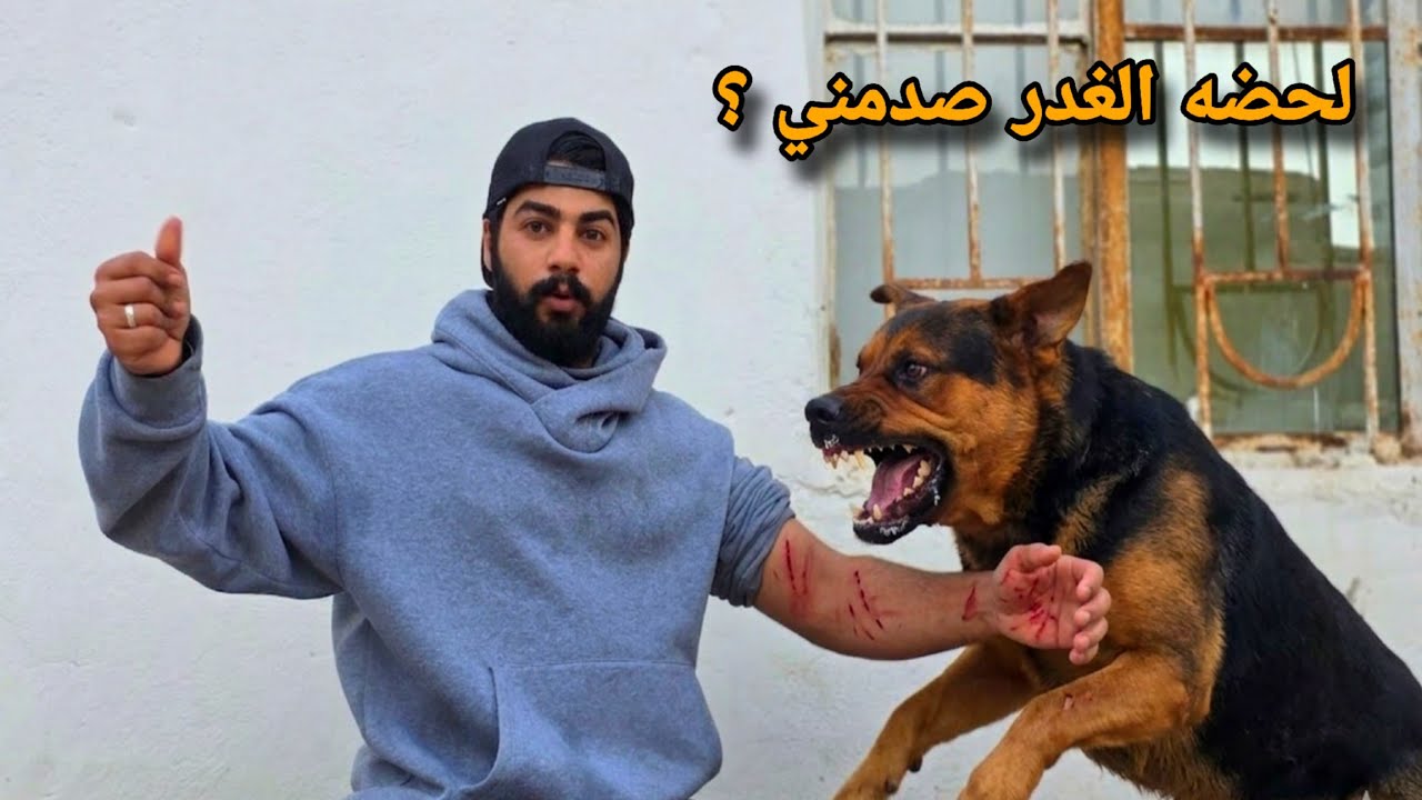 التقيت بكلابي🐕 بعد غياب ست اشهر ؟؟ ما توقعت الي صار 😱