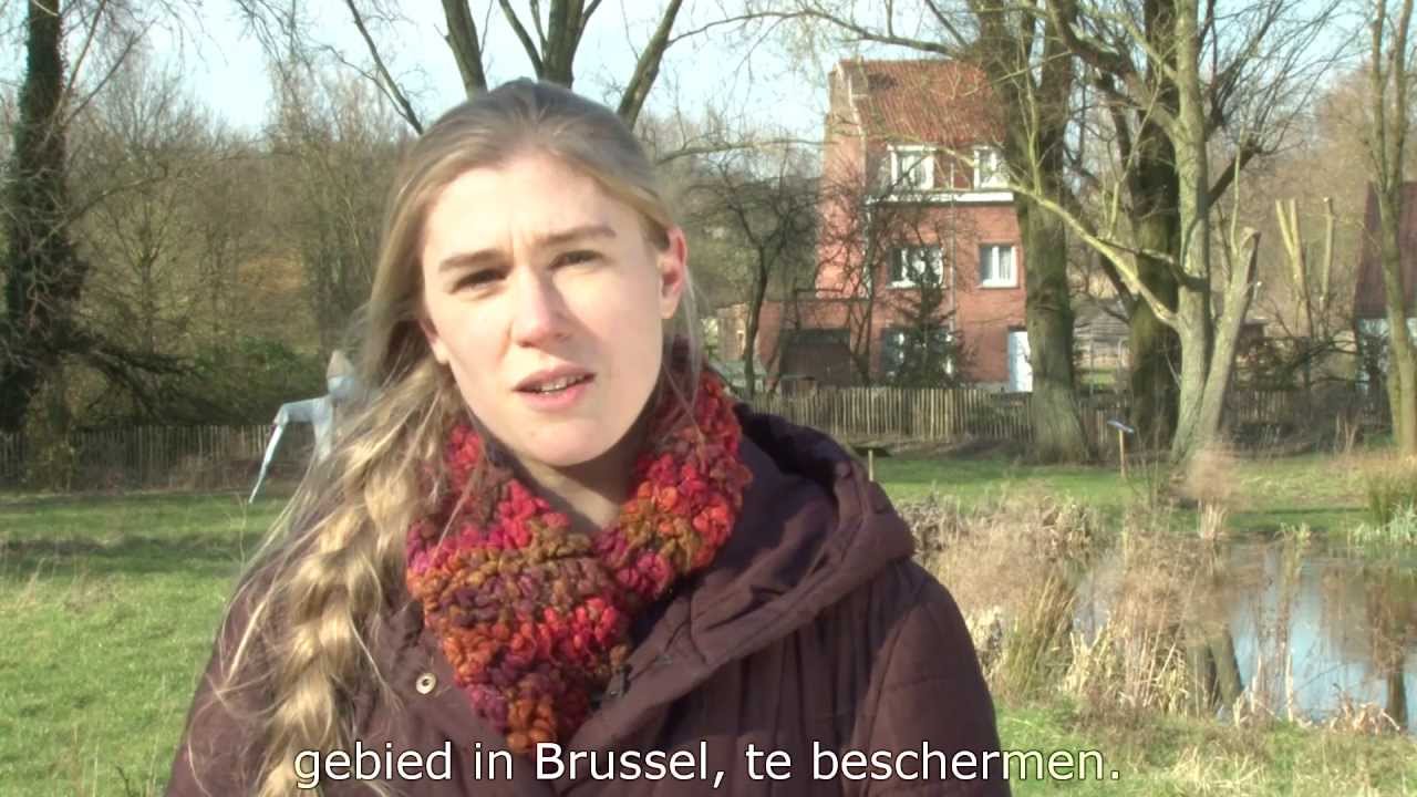 Agenda 21 Anderlecht: Maison verte et bleue