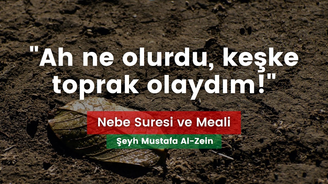 Nebe Suresi ve Meali | Şeyh Mustafa Al-Zeyn | Suat Yıldırım Meali