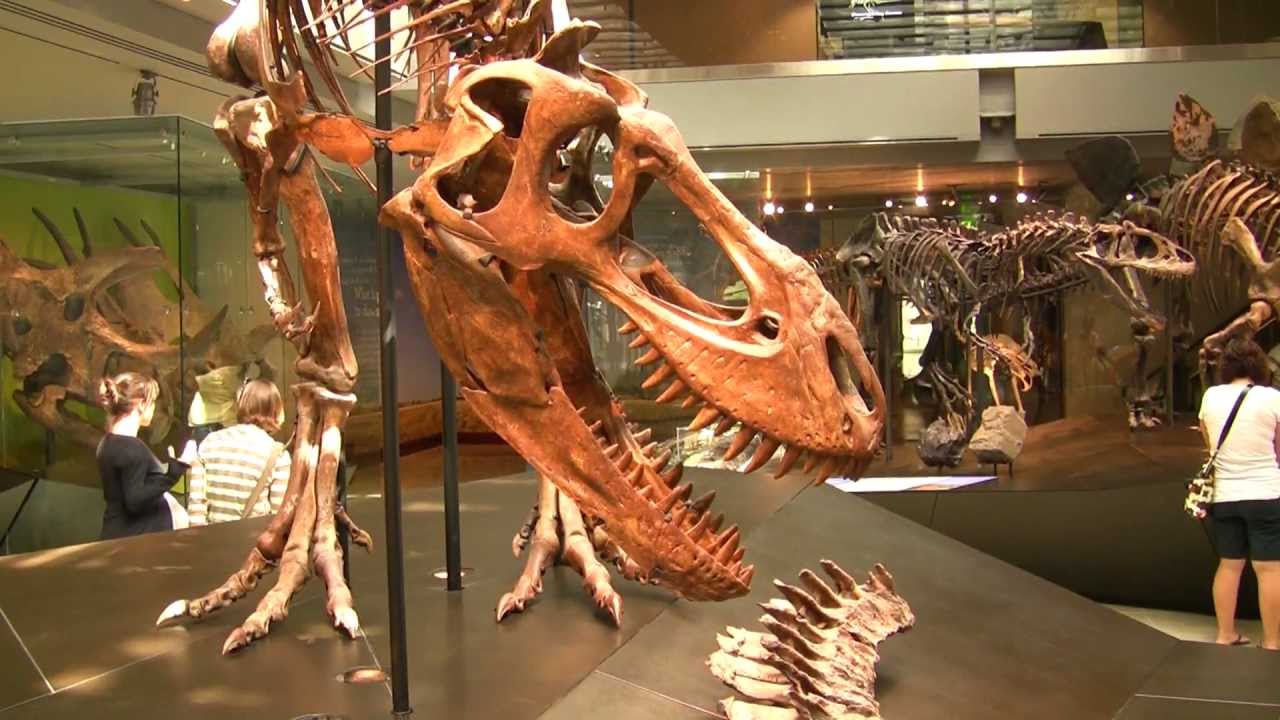 Ancient Monsters: T-Rex