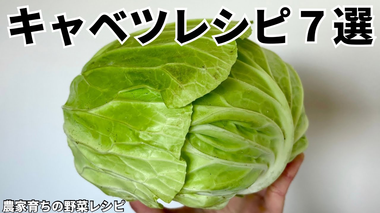 【レンジでできる】元農家おすすめキャベツの美味しい食べ方７選｜作りおきOK｜冬キャベツ