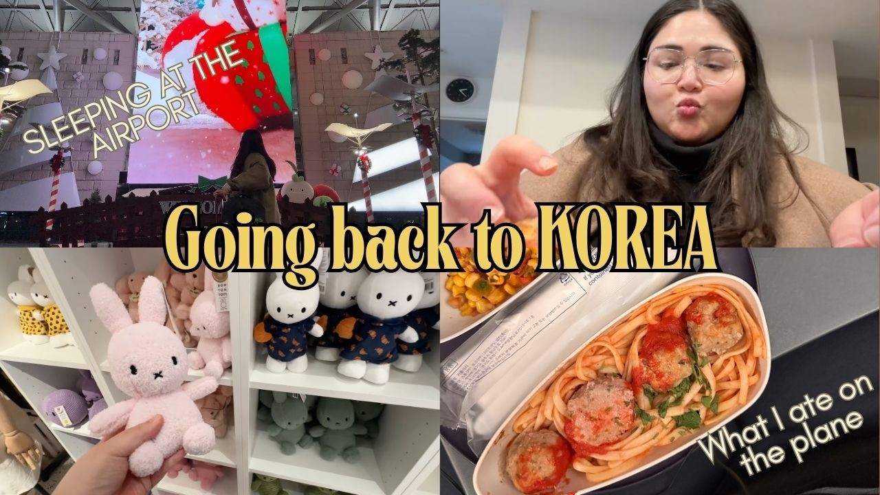STUCK AT INCHEON AIRPORT, 20 hour travel day (with time stamps), last days in the US