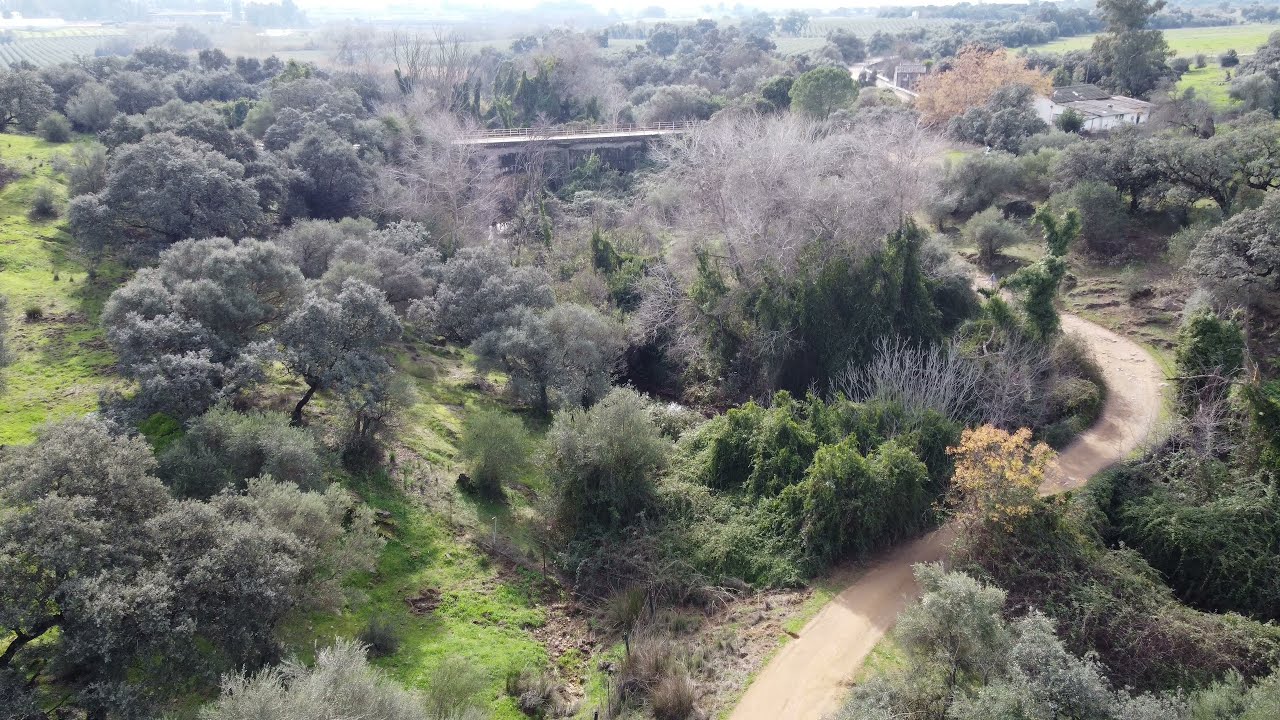 Vuelo de dron sobre el arroyo de Rabanales, grabado en 4K