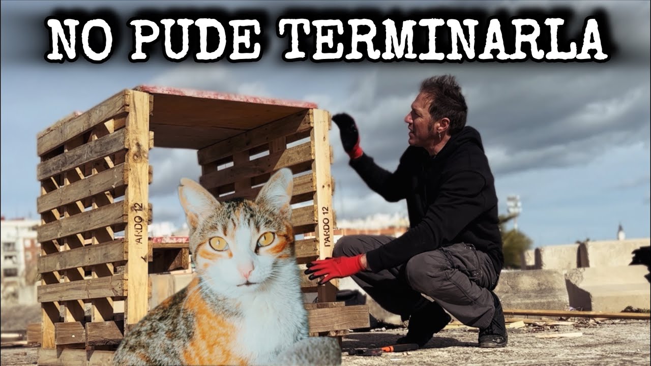 Construir una caseta para gatos callejeros…el frío y el viento no me dejaron