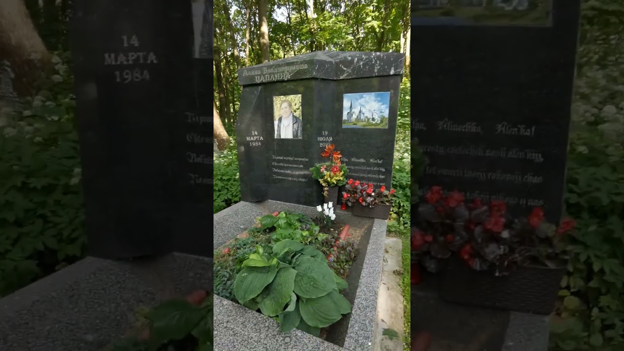Цаплина утонула. #shorts