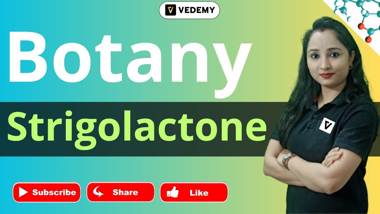 Strigolactone | Phytohormones | Botany | By Jyoti Kumari | CSIR | GATE | DBT | ICMR | ICAR | CUET