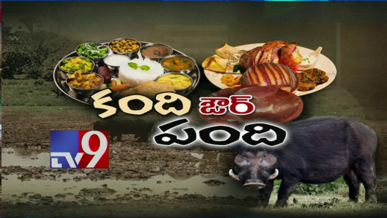 Brahmins fume over Collector's comments on Beef - TV9