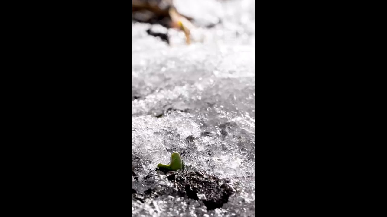 How Spring Weather Can Affect Your Health