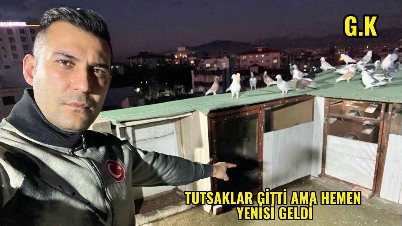 TUTSAK GÜVERCİNLER GİTTİ YERİNE YENİSİ GELDİ , YAVRULARI YENİ KÜMESE ALDIK .