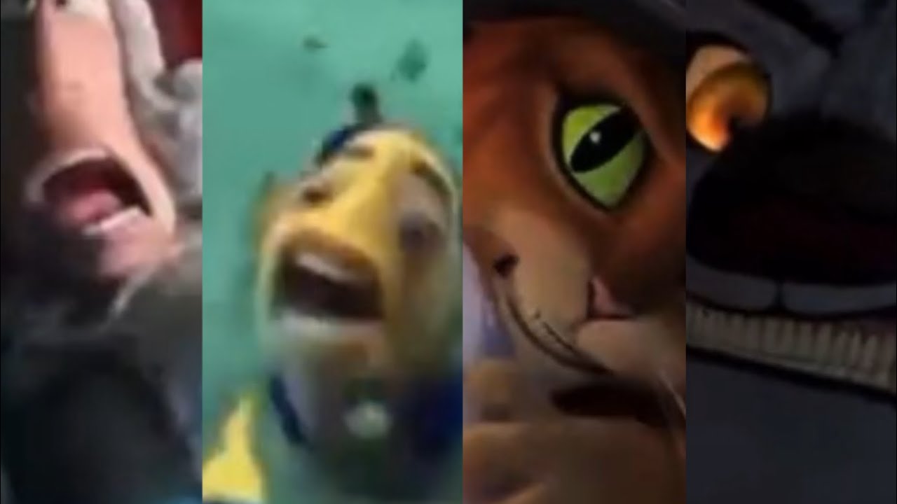 1 секунда из каждого анимационного фильма DreamWorks Animation (ОБНОВЛЕНО)