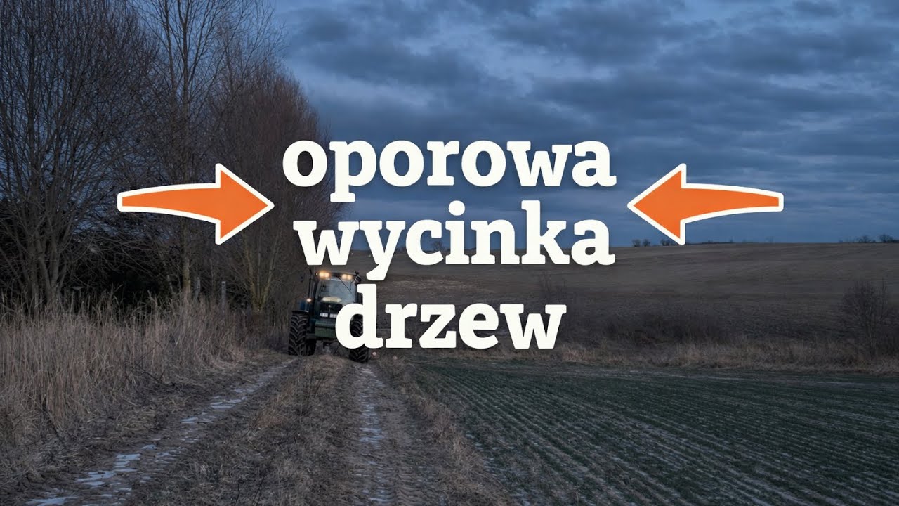 Oporowa wycinka drzew 2026 luty😍 jeleń w akcji 