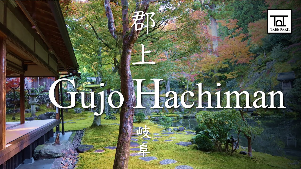 Gujo Hachiman: Historic Townscapes in Japan, Visiting the Castle & Discovering 6 Local Elements 郡上八幡