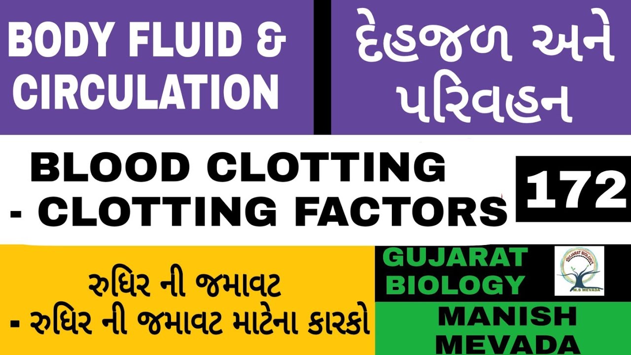 BLOOD CLOTTING - CLOTTING FACTORS IN GUJARATI રુધિર ની જમાવટ - રુધિર ની જમાવટ માટેના કારકો