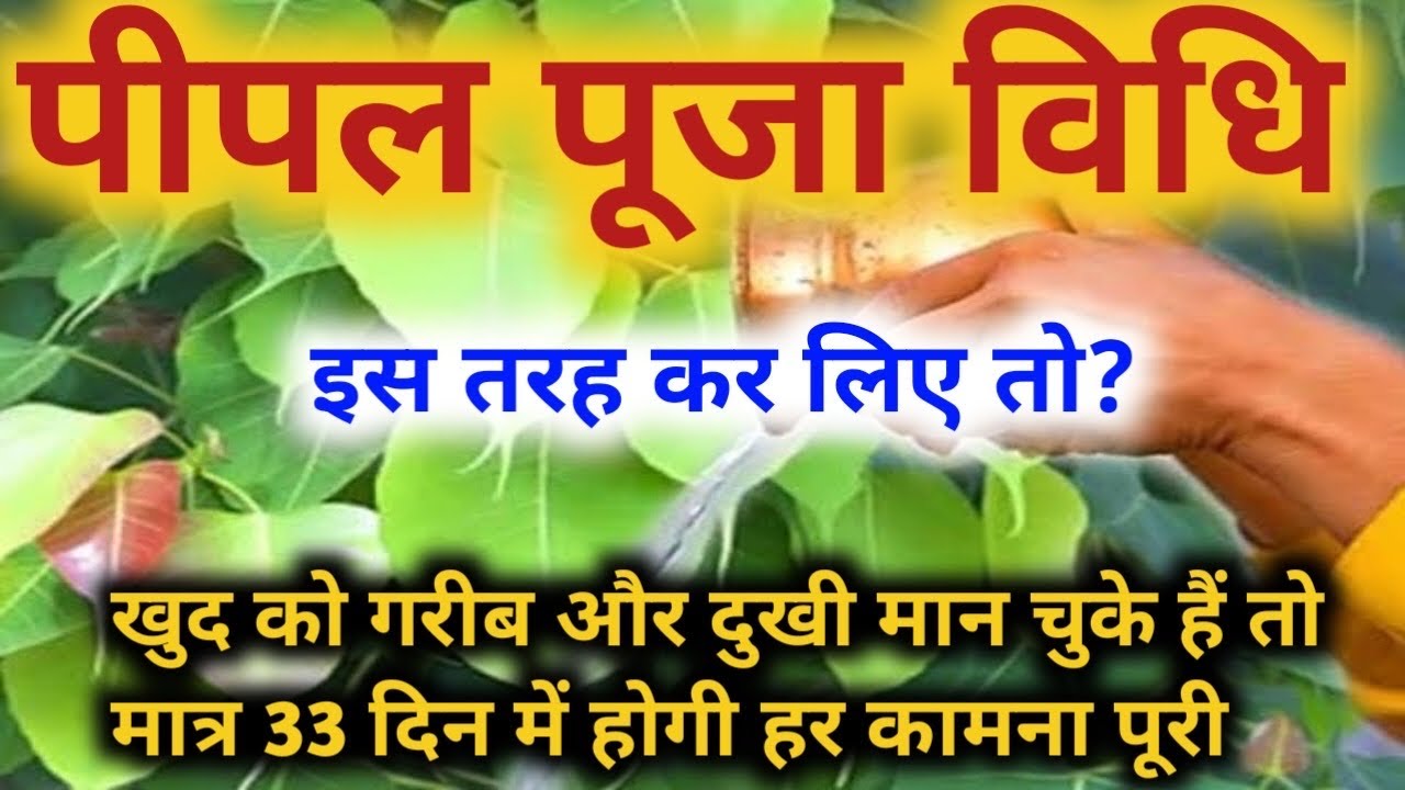 Pipal Puja Vidhi | इस प्रकार पीपल पूजा करना शुरू कर दिये तो 33 शनिवार में ही पूरी होगी हर कामना