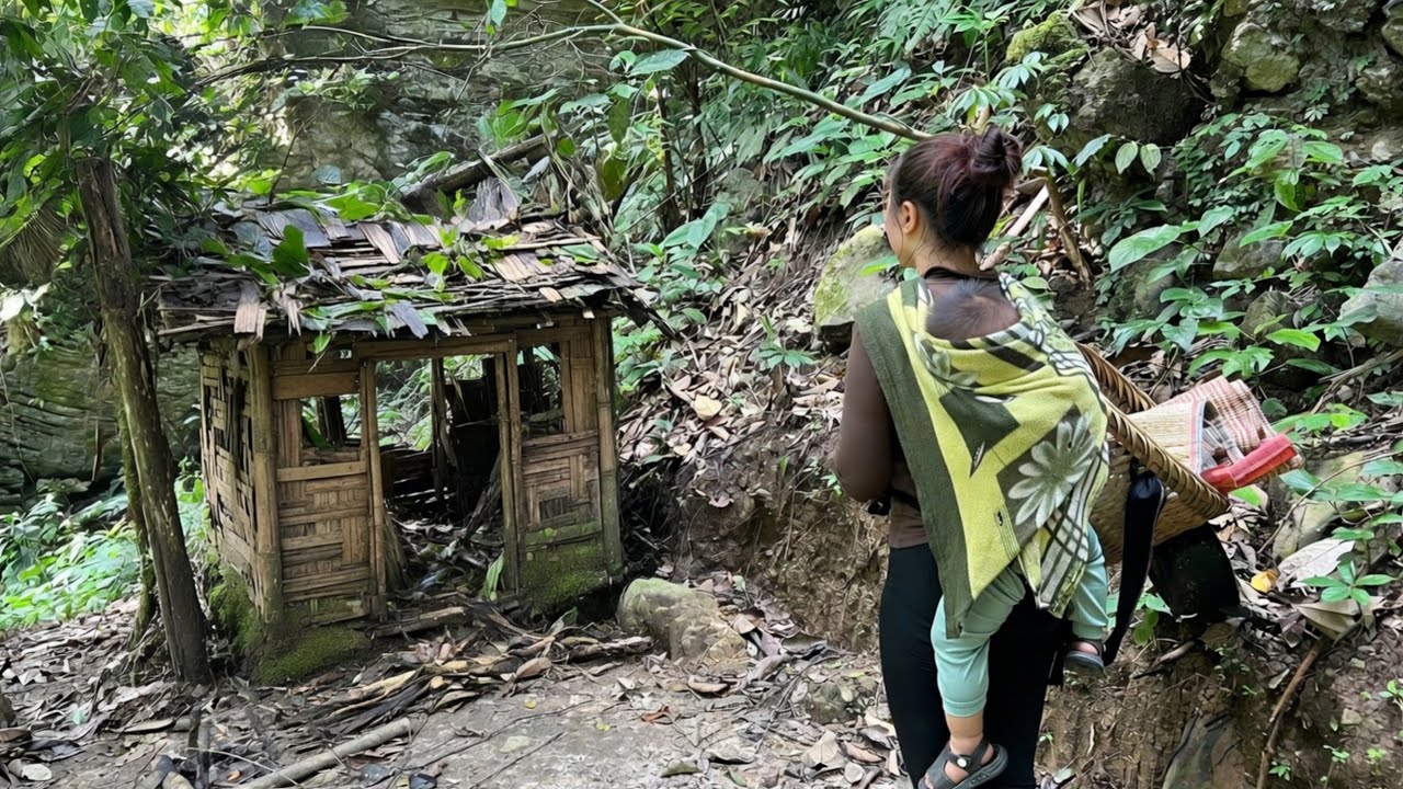 From Survival to a Home &ndash; A Single Mother Restores a Forgotten Wooden House Deep in the Forest