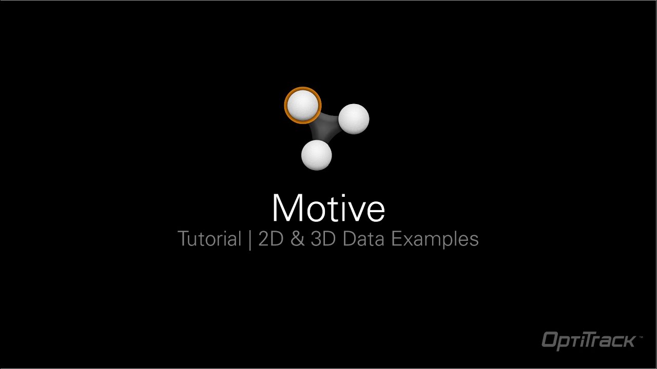 Motive | 2D & 3D Data Examples