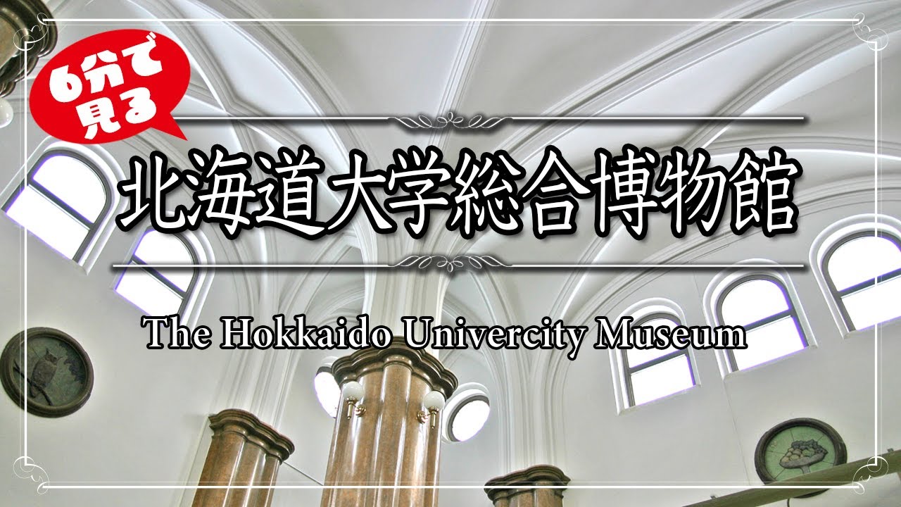 ６分で見る北海道大学総合博物館【4K撮影】#北海道大学総合博物館　#北大　#札幌観光