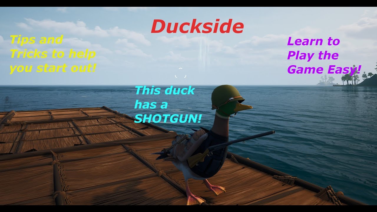Duckside — как преуспеть на начальном этапе!