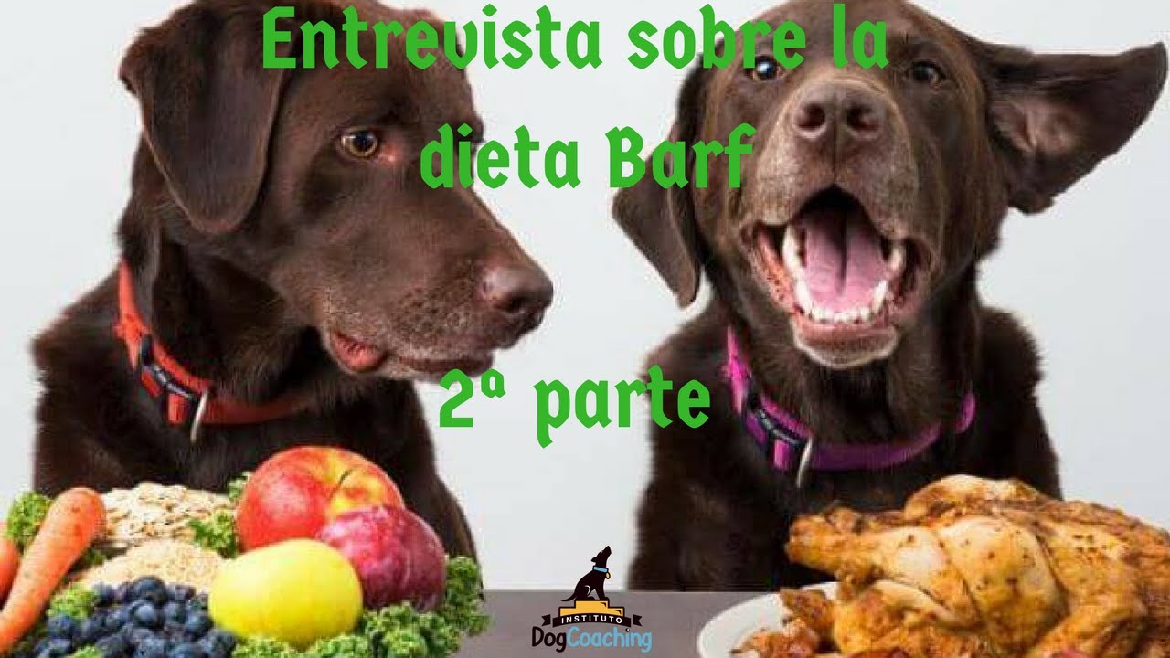 Entrevista a Mónica González Tovar (Dieta Barf 2ª parte)