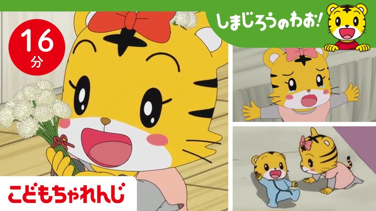 【16分アニメ】みんな、はなちゃんがだいすき！ | 家族・思いやり |  | しまじろうのわお！アニメ | しまじろうチャンネル公式