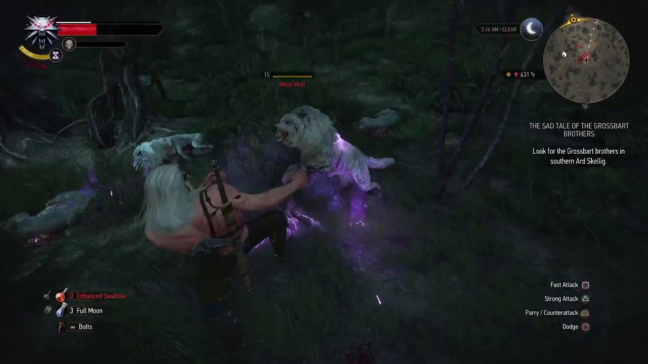 The Witcher 3 (02.01.26)