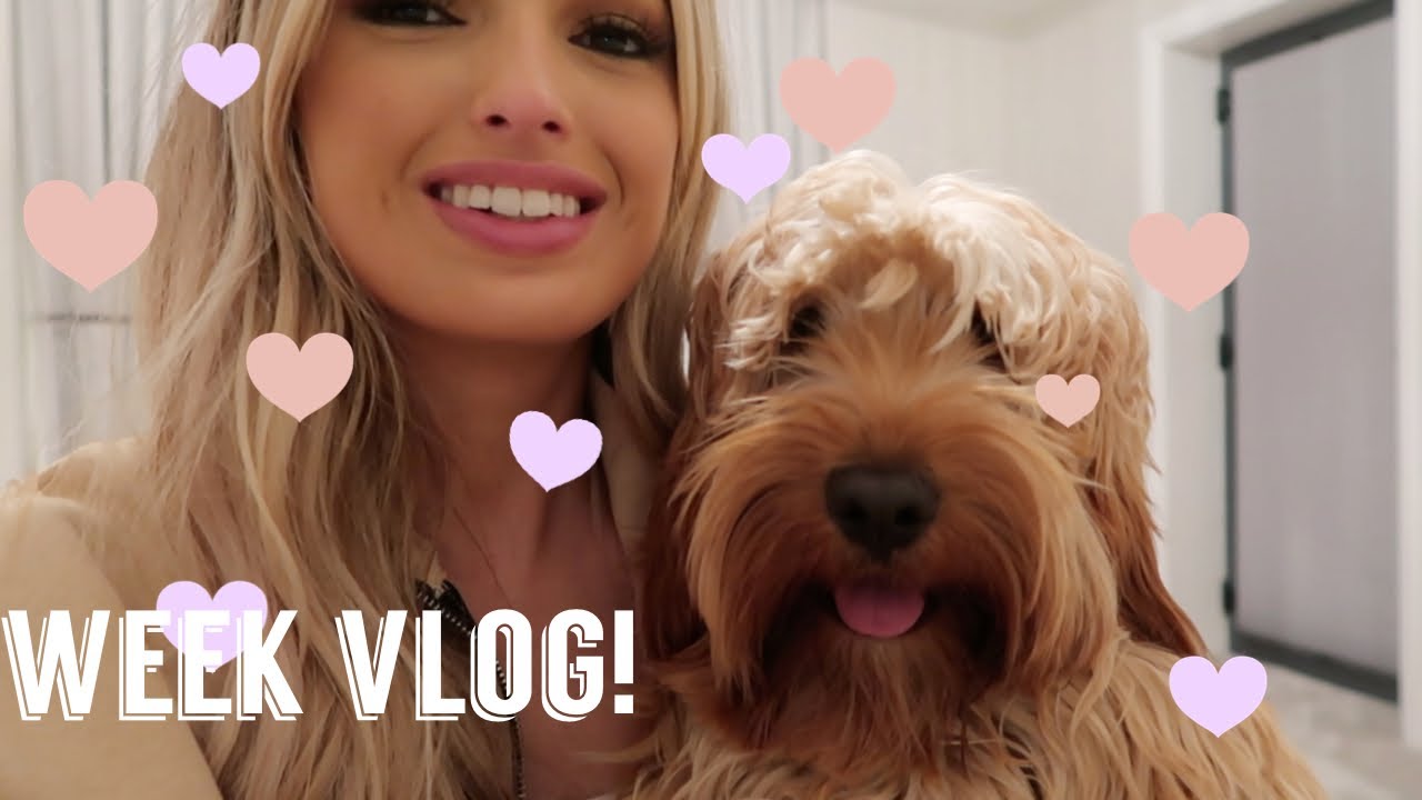 WEEK VLOG! PHOTO SHOOTS, MASSIVE B&M HAUL
