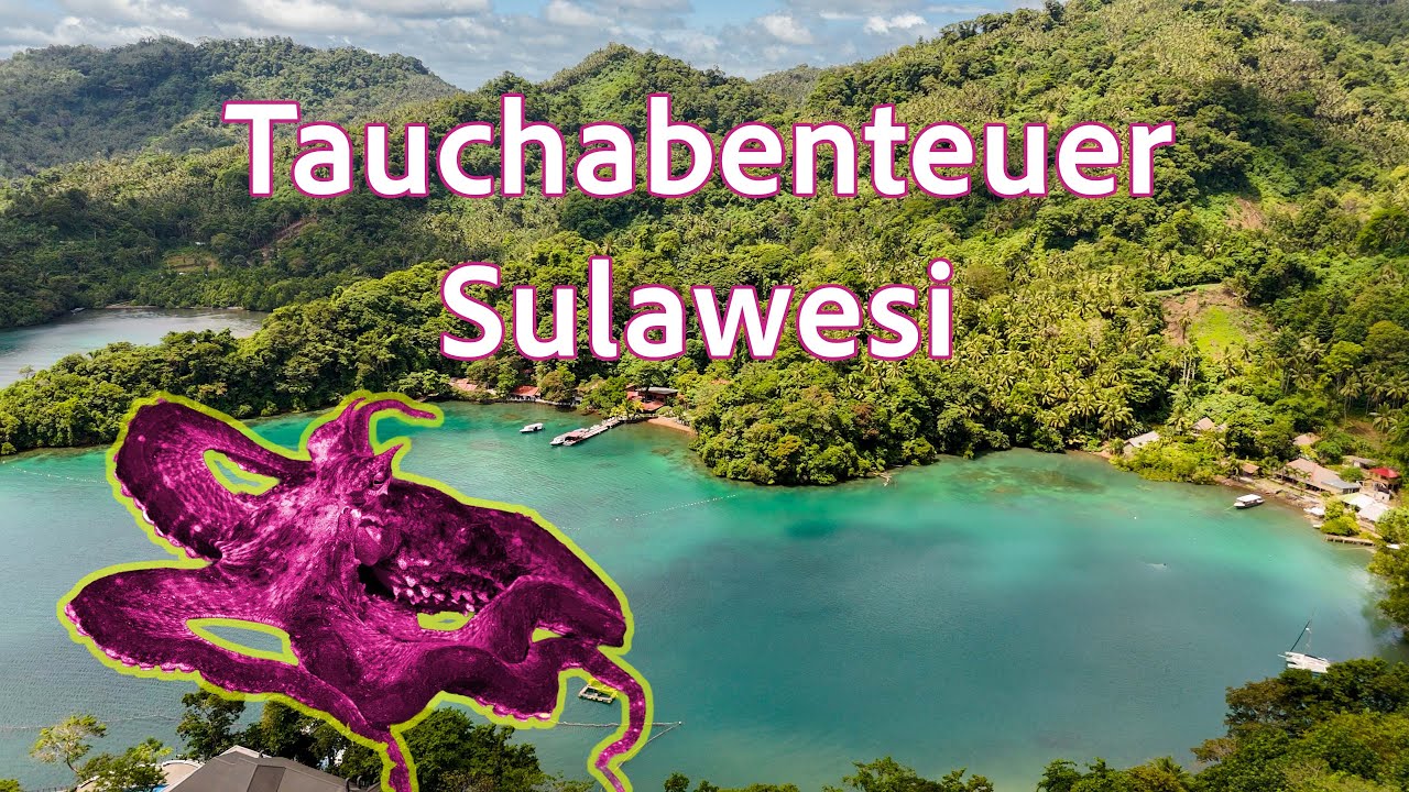 Das artenreichste Meer der Welt? Unser Tauchtrip ins Korallendreieck