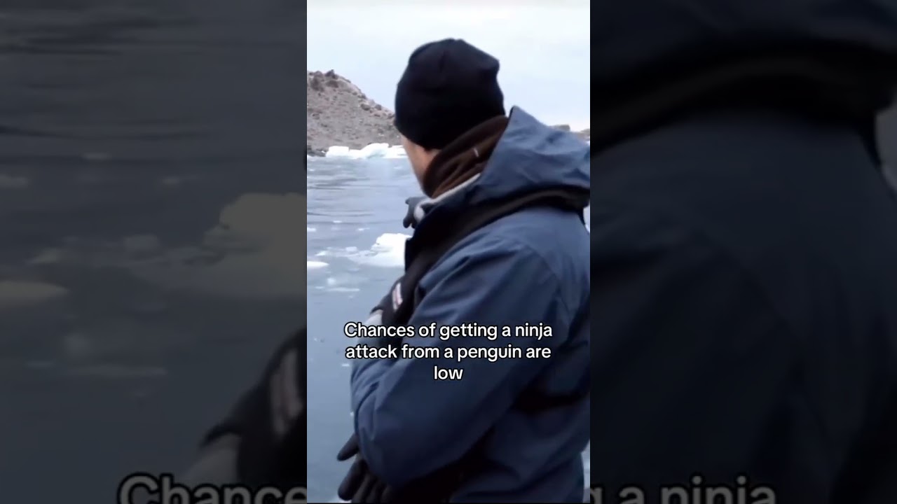 ninja⁉️ low⁉️ man i have some news for u