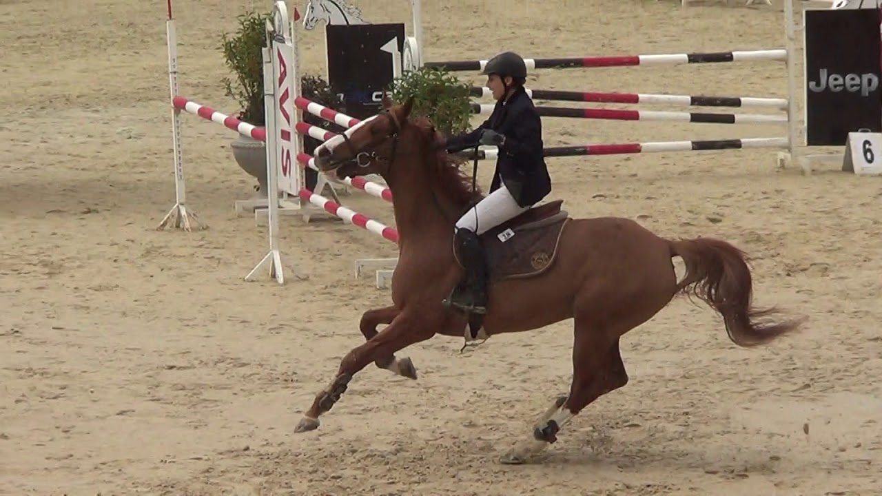 Grand prix de la Soukra de Saut d'obstacles 2016 #1