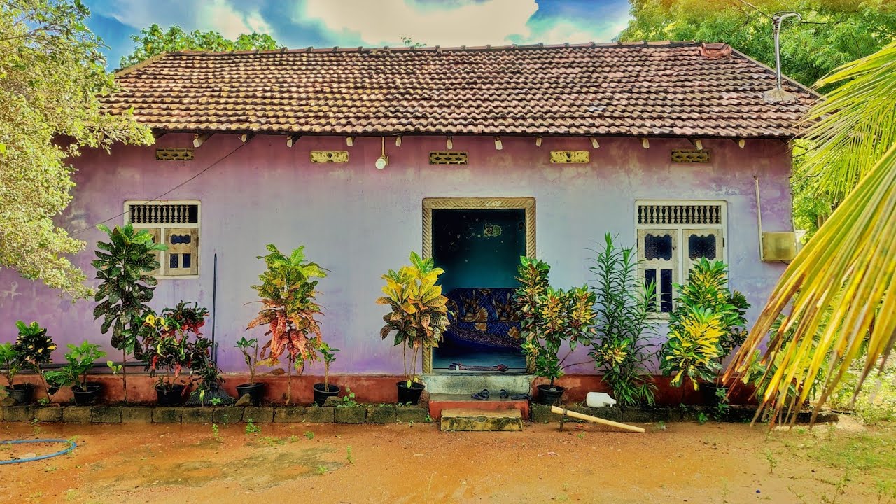 🌀🌀 கிளிநொச்சியில் வீட்டுடன் தோட்டக்காணி விற்பனைக்கு 